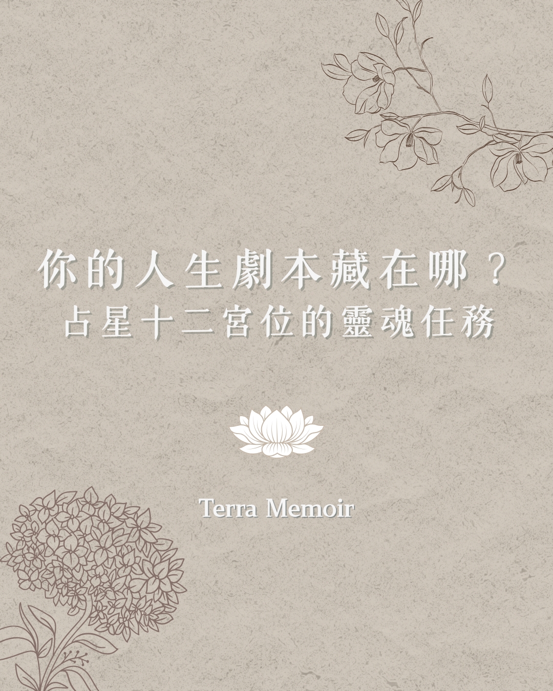 占星十二宮位的靈魂任務｜你的人生劇本藏在哪裡？