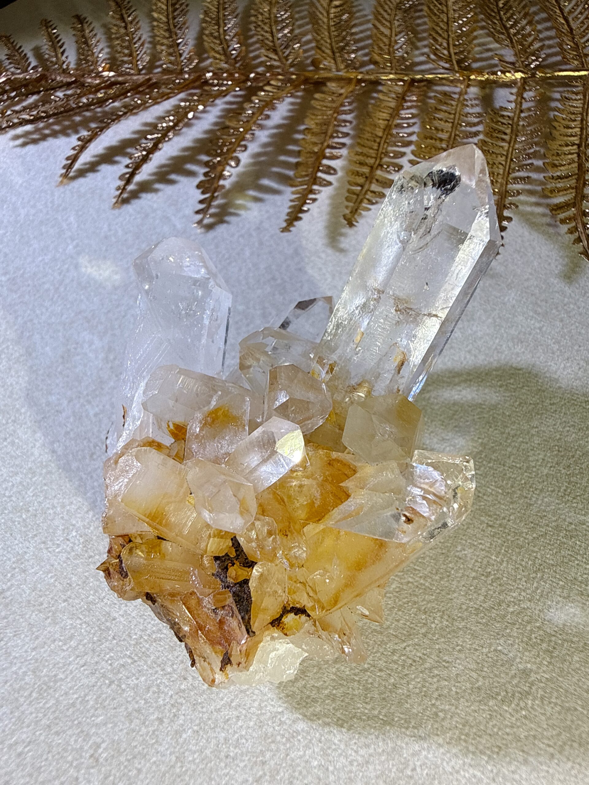 黃金雷姆利亞|古文明的智慧之光・大師級療癒者 12 黃金雷姆利亞|古文明的智慧之光・大師級療癒者:圖片 12