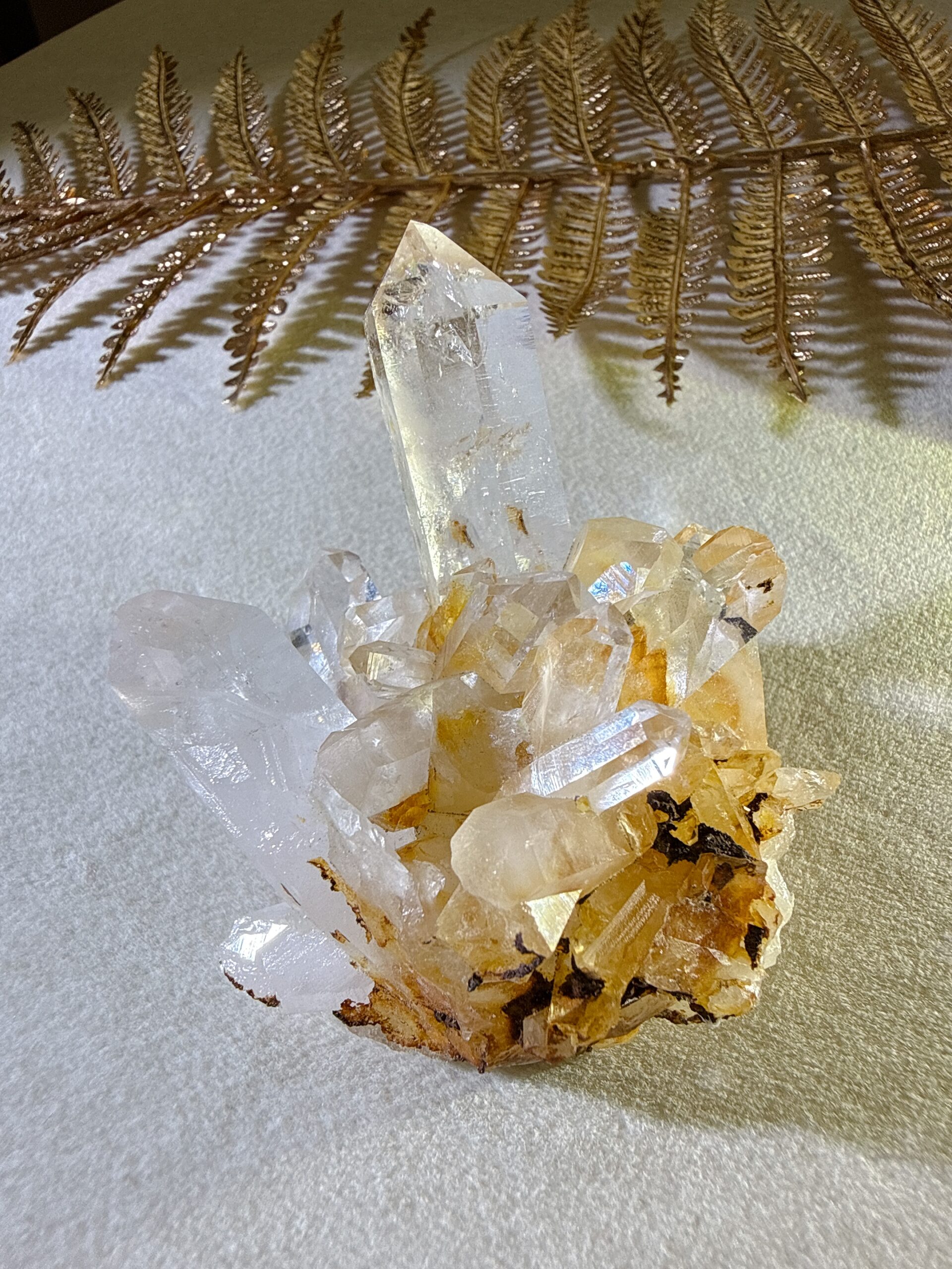黃金雷姆利亞|古文明的智慧之光・大師級療癒者 7 黃金雷姆利亞|古文明的智慧之光・大師級療癒者:圖片 7
