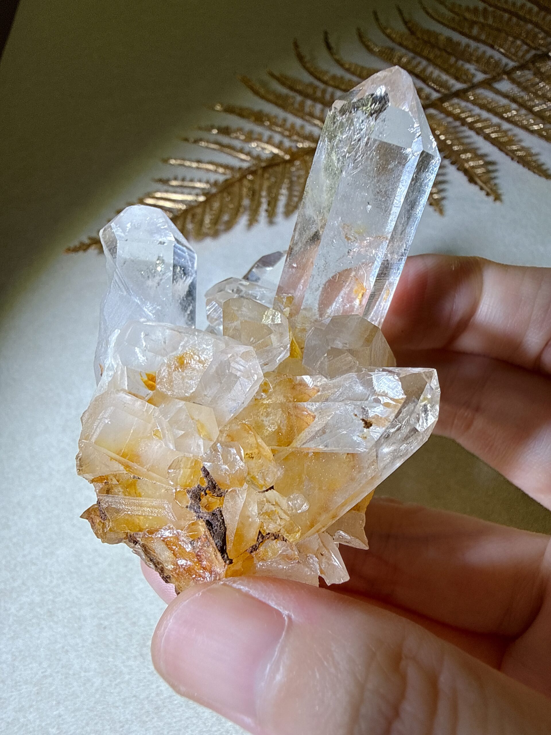 黃金雷姆利亞|古文明的智慧之光・大師級療癒者 11 黃金雷姆利亞|古文明的智慧之光・大師級療癒者:圖片 11