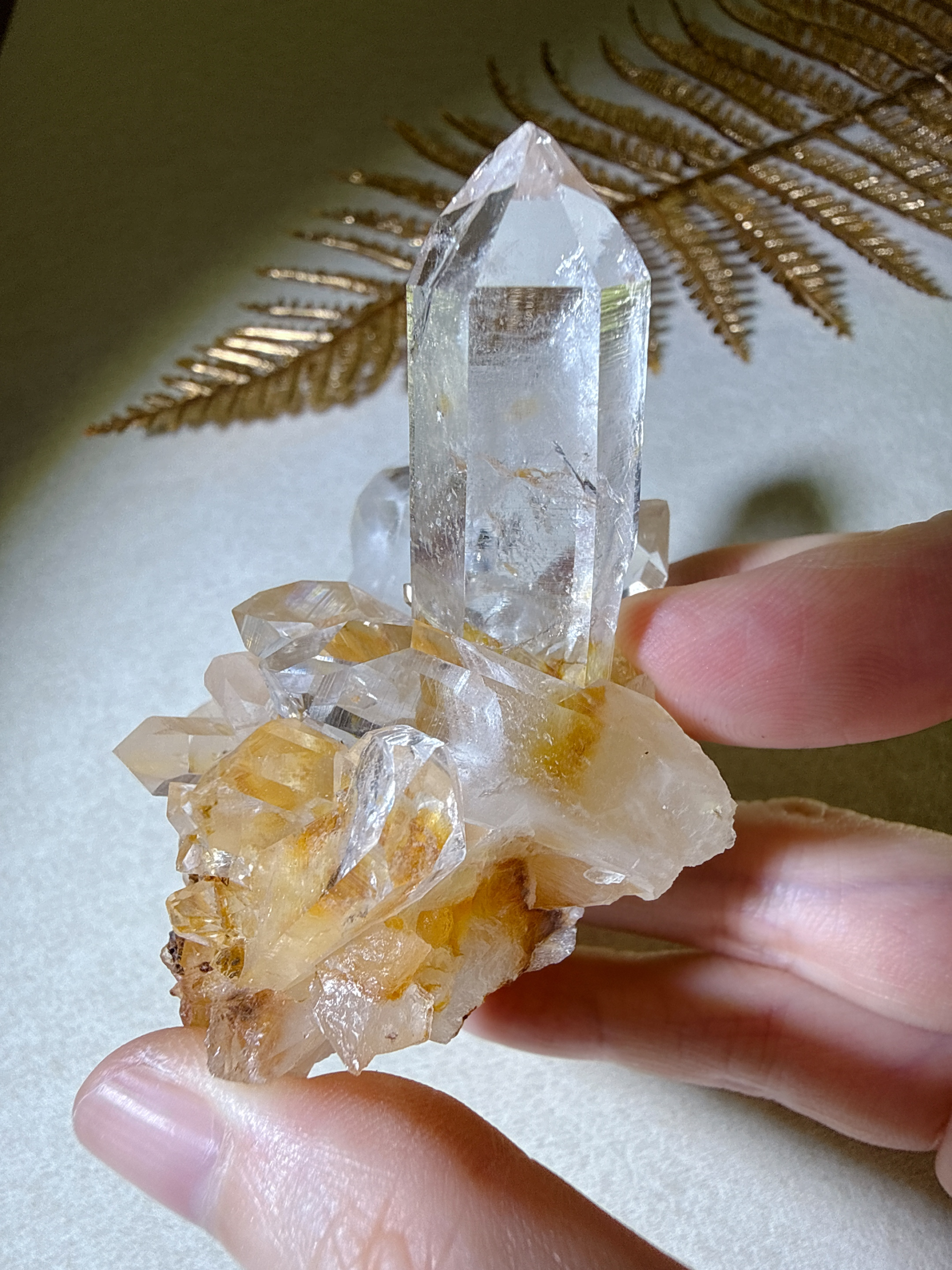 黃金雷姆利亞|古文明的智慧之光・大師級療癒者 9 黃金雷姆利亞|古文明的智慧之光・大師級療癒者:圖片 9