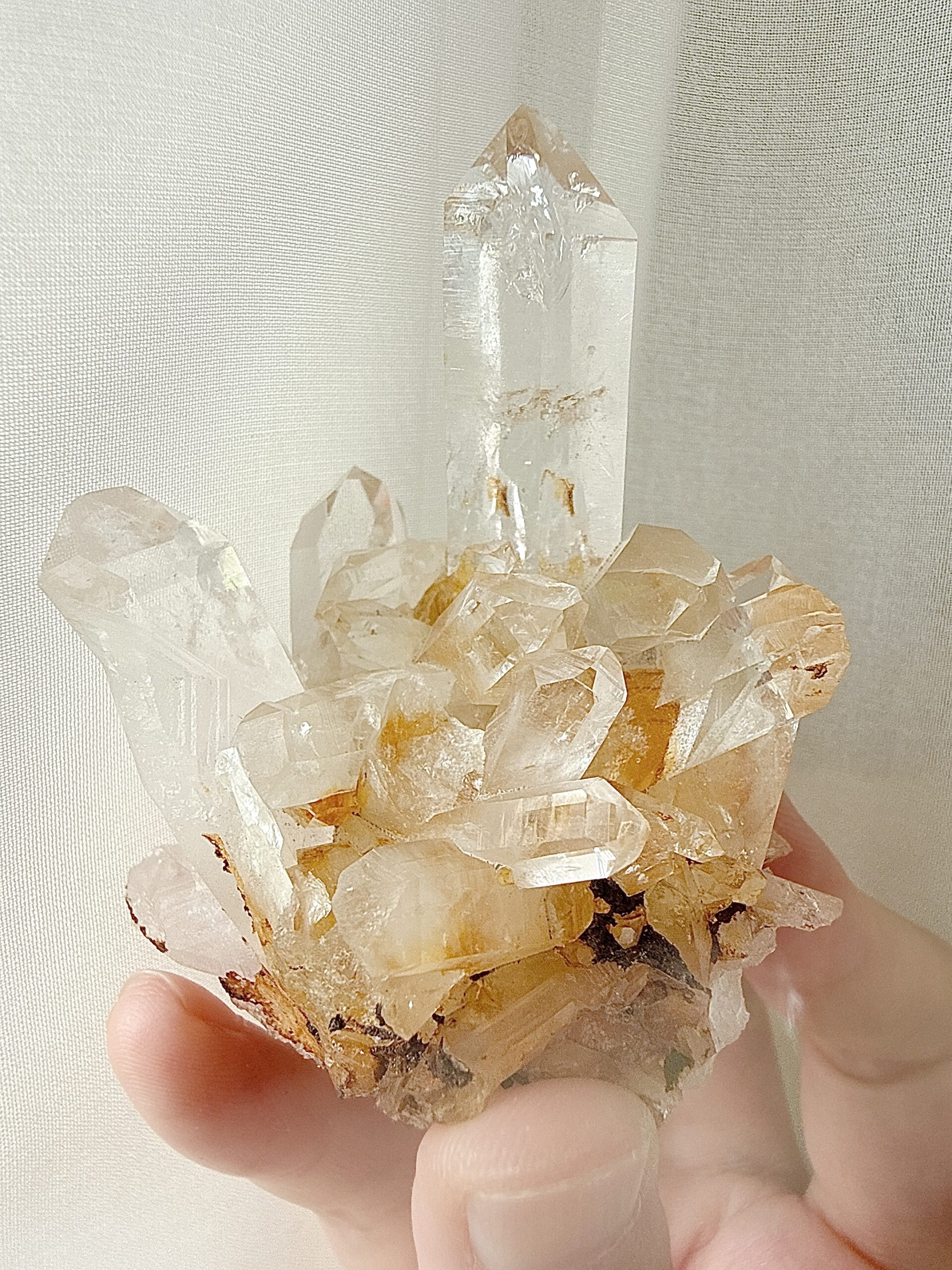 黃金雷姆利亞|古文明的智慧之光・大師級療癒者 2 黃金雷姆利亞|古文明的智慧之光・大師級療癒者:圖片 2