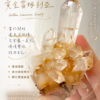 黃金雷姆利亞｜古文明的智慧之光・大師級療癒者