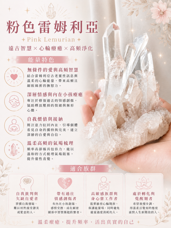 粉色雷姆利亞2