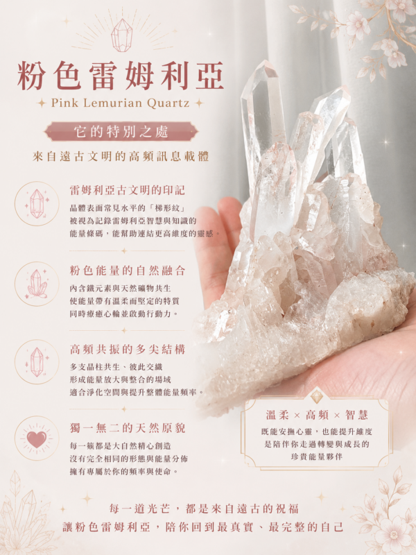 粉色雷姆利亞3